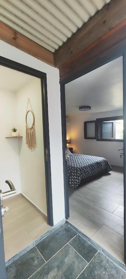 Tiny House Les Cactus - Bungalow St Gilles Les Hauts Saint-Paul المظهر الخارجي الصورة